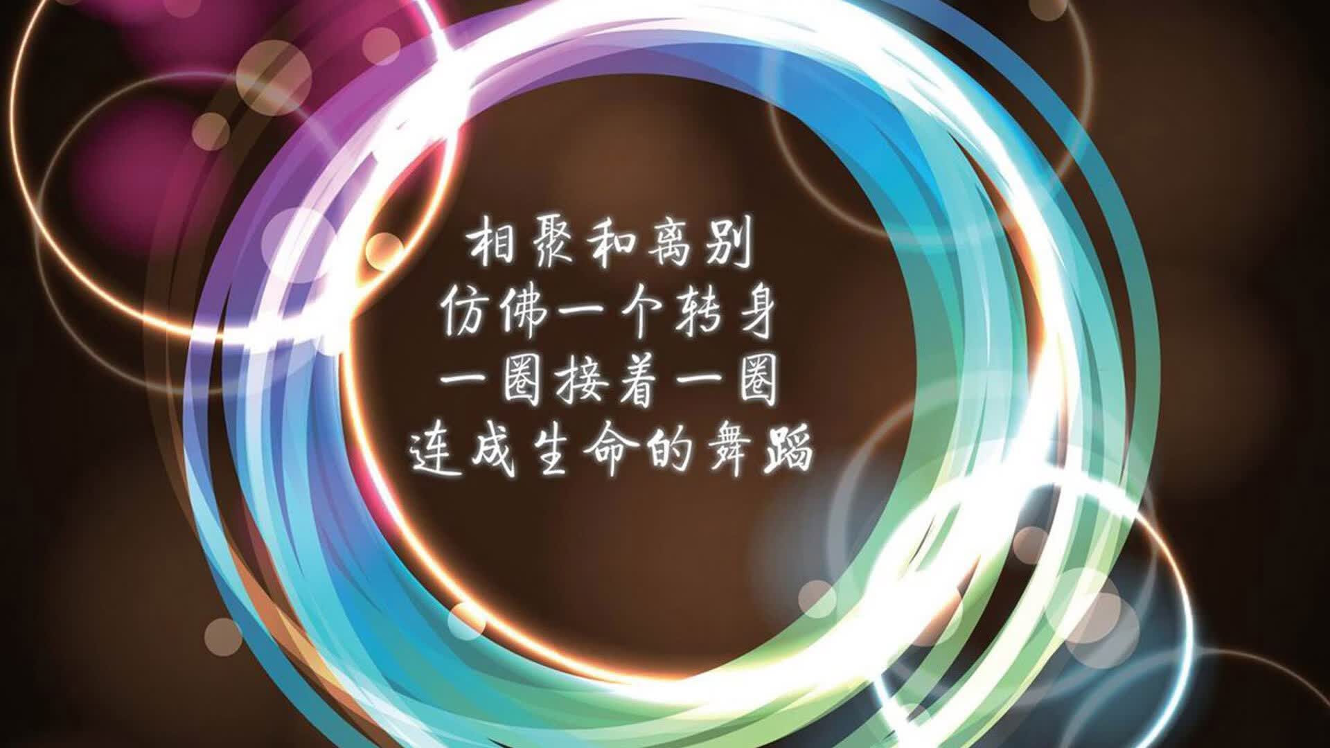 世界杯与难民球员:那一身球衣背后的迁徙与归属感。,世界杯球迷
